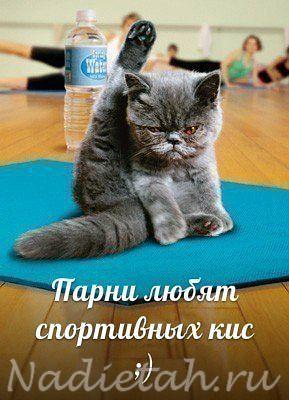111111getimage.jpg