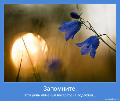 motivator-14886.jpg
