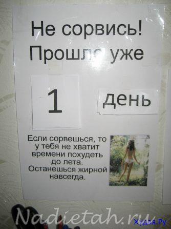 t4_3115762.jpg