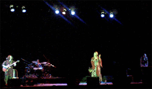 pelagea.jpg