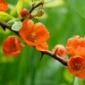 Изображение пользователя Аиша. Изображение пользователя Аиша.