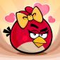 Изображение пользователя angry_bird.