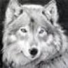 Изображение пользователя Blanco_Lobo.