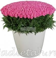 images_78.jpg