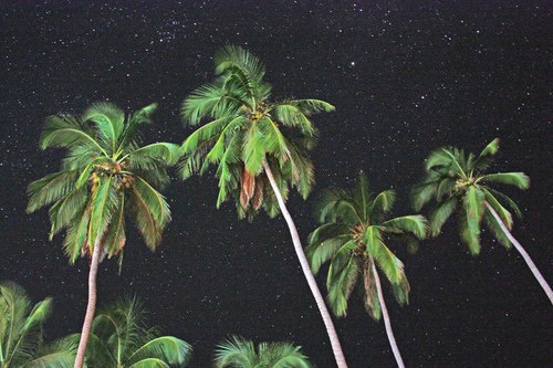 tumblr_mgvhm1eo9g1s23b9io1_500.jpg