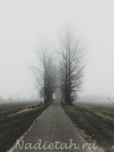 tumblr_n7htdwondi1r4ueyro1_500.jpg