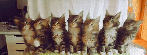 tumblr_ndi5e20iby1rq7z94o1_500.gif