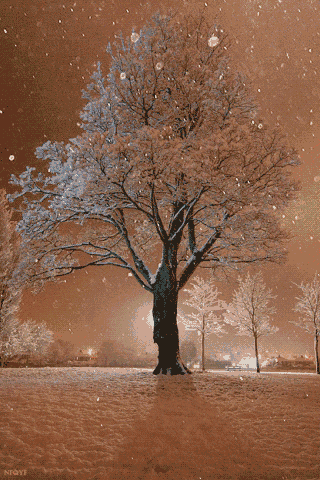 tumblr_ngl2ofgoex1tbe89lo1_400.gif