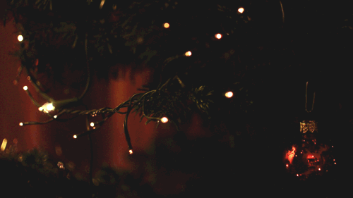 tumblr_ngsk89pn7g1sulnzno1_500.gif