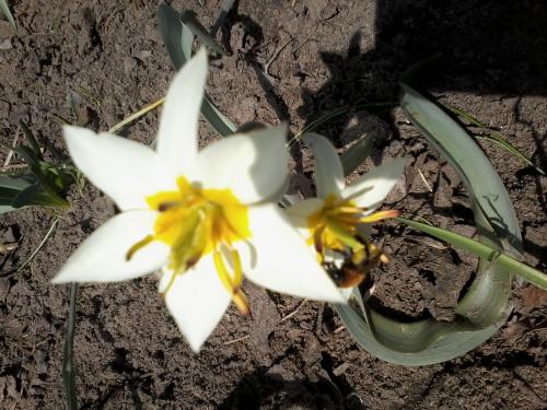 20150502_1103321.jpg