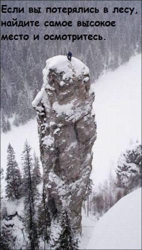 esli_vy_poteryalis_v_lesu_naydite_samoe_vysokoe_mesto_i_osmotrites.jpg