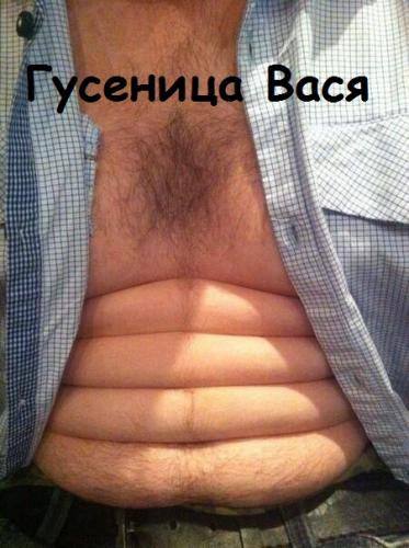 gusenica_vasya.jpg