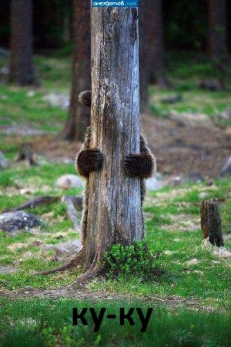 ku-ku.jpg