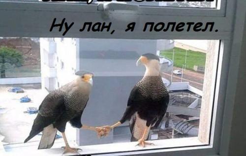 nu_lan_ya_poletel.jpg