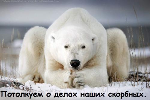 potolkuem_o_delah_nashih_skorbnyh.jpg