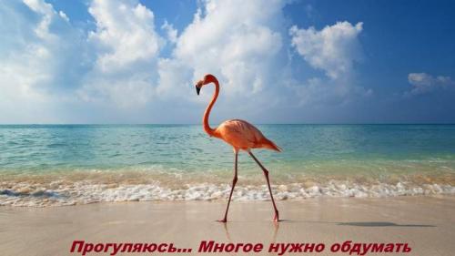 progulyayus._mnogoe_nuzhno_obdumat_0.jpg