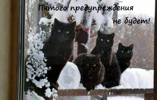pyatogo_preduprezhdeniya_ne_budet._dazhe_ne_vyhodi_na_dorogu.jpg