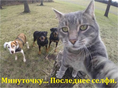 ulybochku._seychas_selfi_sdelayu.jpg