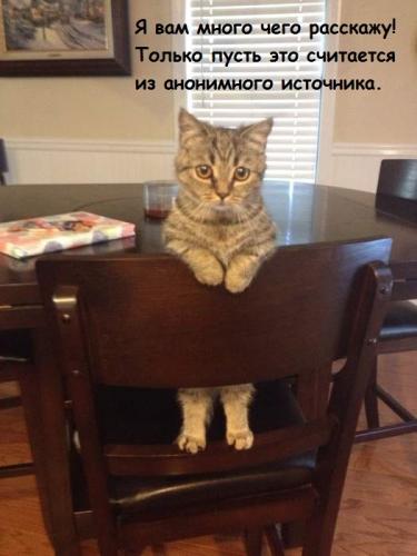ya_vam_mnogo_chego_rasskazhu_tolko_pust_eto_schitaetsya_iz_anonimnogo_istochnika.jpg