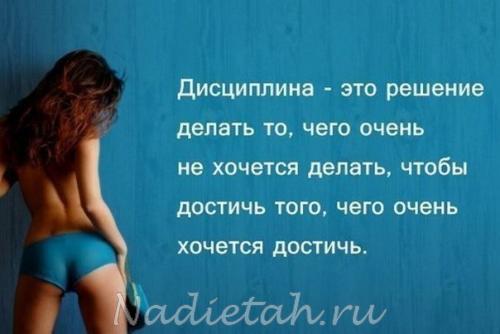bc958e90ba2684b564af255cc445774a.jpg