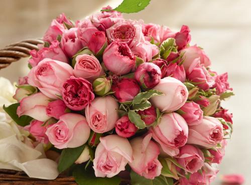 roses-pink-bouquet-beauty.jpg