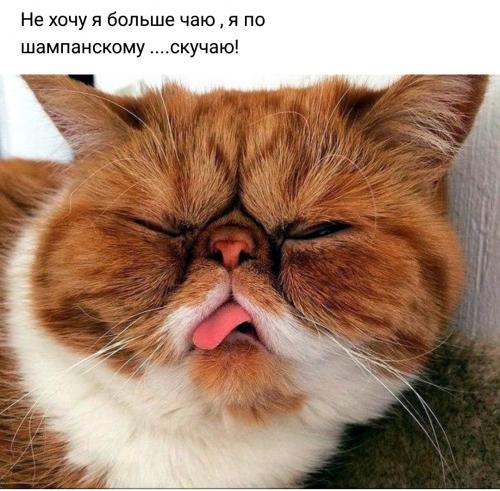 uuxpjdmfas4.jpg