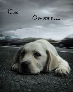 как одиноко.jpg