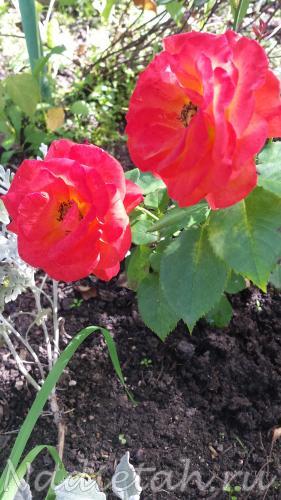 20150815_100519.jpg