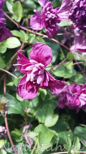 20150815_100620.jpg