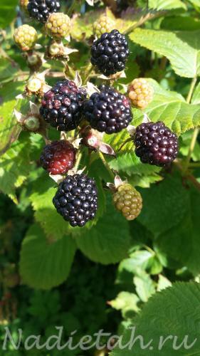20150815_100942.jpg