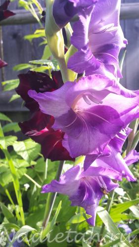 20150815_101112.jpg