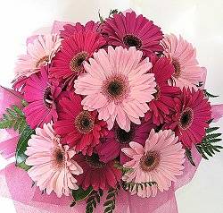 Bouquet_Daisies2.jpg
