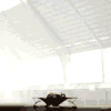 17200722.gif