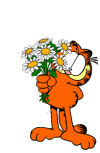 55b42e5513be200e114fe5f0ef1ad2c0.gif