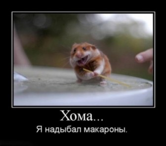 9643697.jpg
