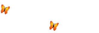 butterfly006.gif