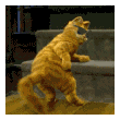 113[1].gif