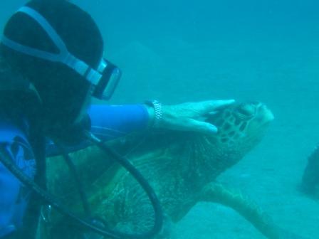 withturtle_small.JPG