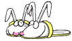 pair.gif
