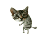 ÐºÐ¾Ñ.gif