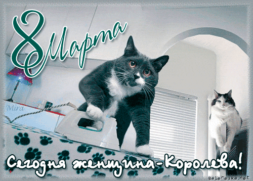 1362142273_8-marta-8.gif