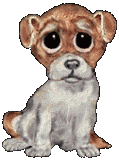 e63c6328d678f10b8fe72009ab8f9a43.gif