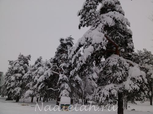 img_20121214_110530.jpg