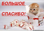 ÑÐ¿Ð°ÑÐ¸Ð±Ð¾1.jpg