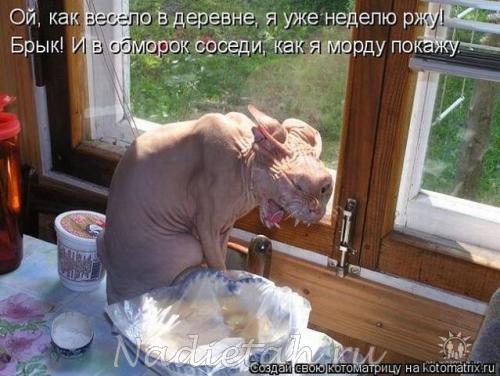 getimage_34_5.jpg