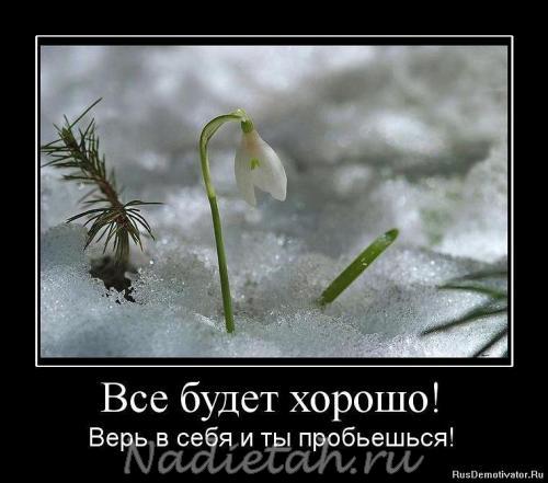 getimage_36_4.jpg