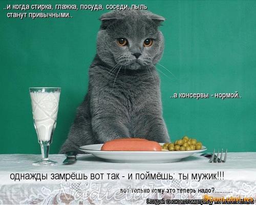 getimage_8_3.jpg