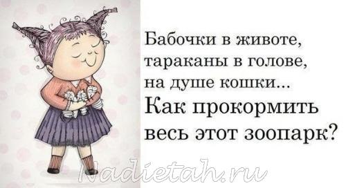 jgpfrahhd08.jpg
