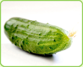 cucumber1.jpg