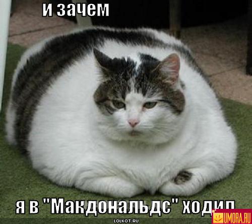 127987688645836.jpg